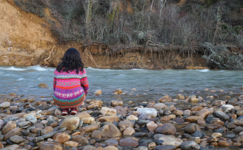 La piel del río DANZA